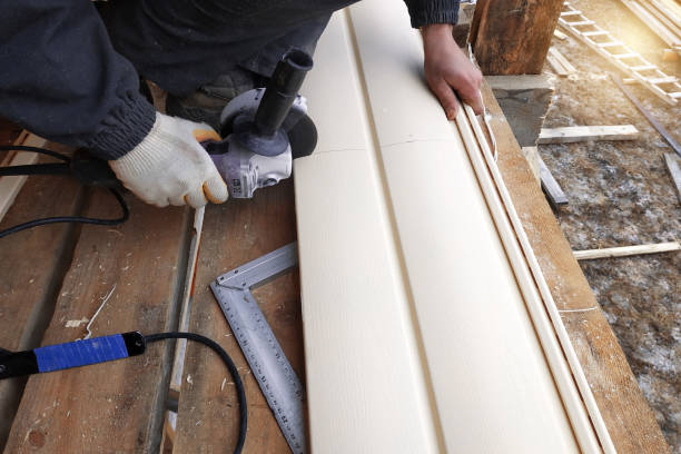 Best Siding Removal and Disposal  in Watseka, IL