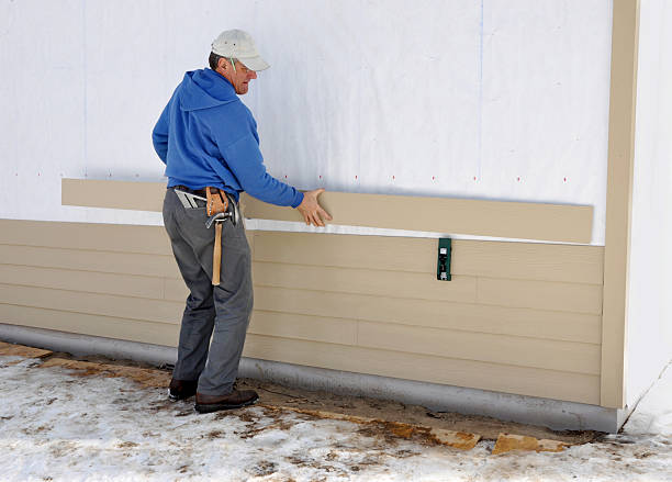 Best Siding Painting and Refinishing  in Watseka, IL